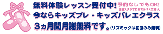 無料体験レッスン